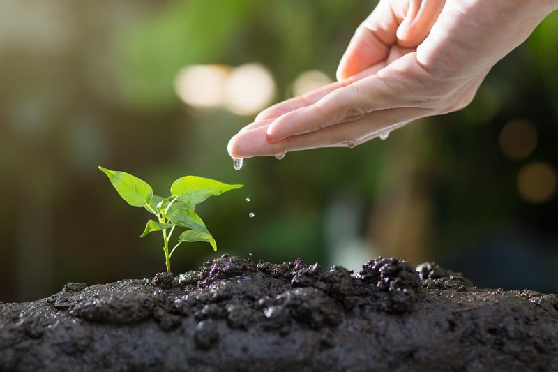 Environmentally-Friendly Gardening